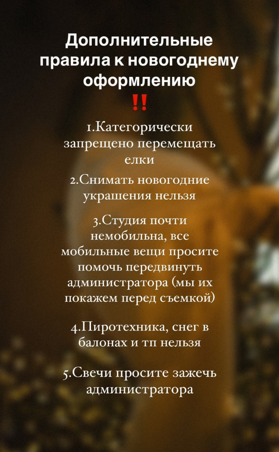 ЛЕС (скв. Карла Маркса). Семейный и детский фотограф |Брянск| Анастасия Перепелкина