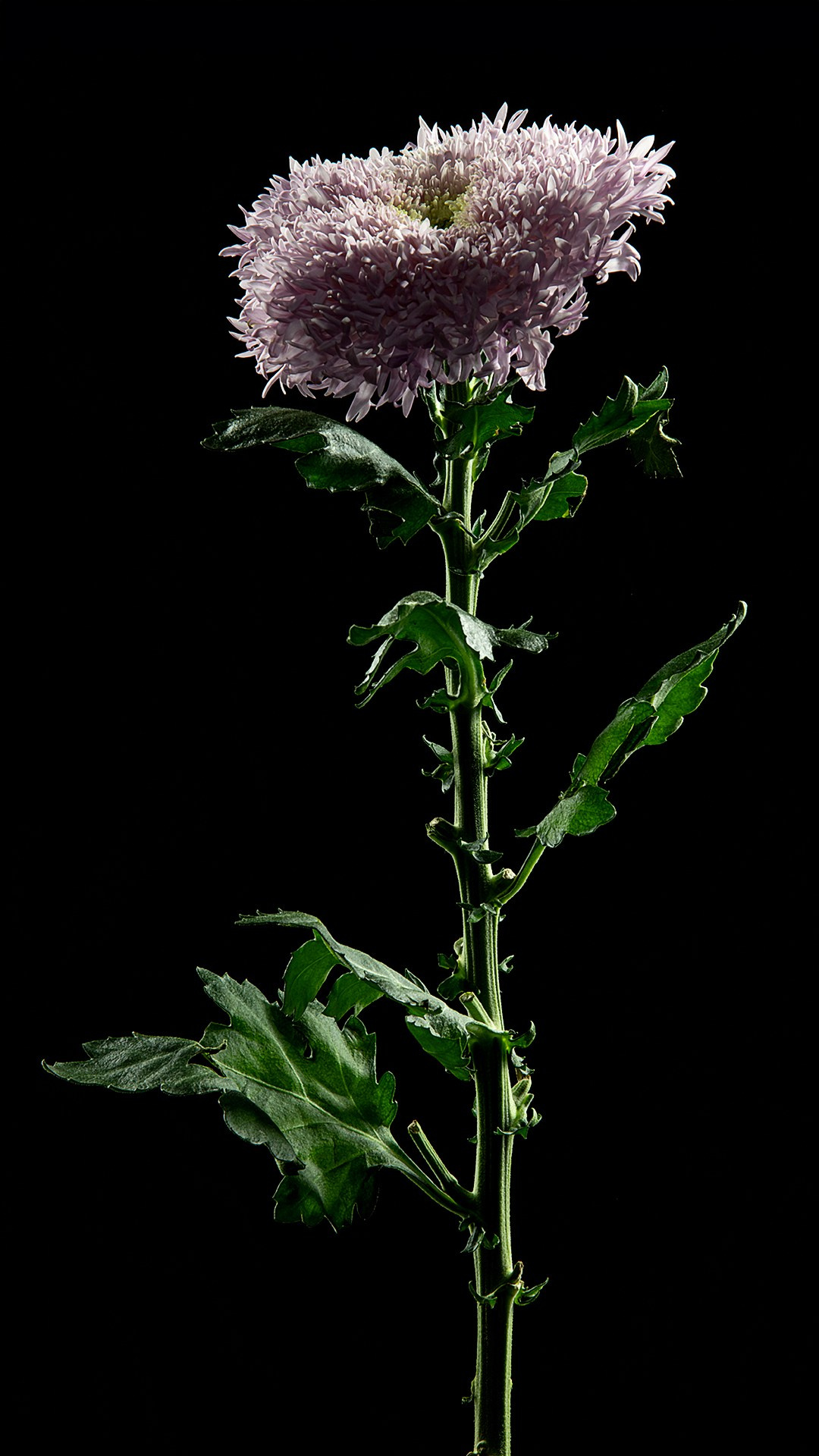 Проекты. Sakunov Photo