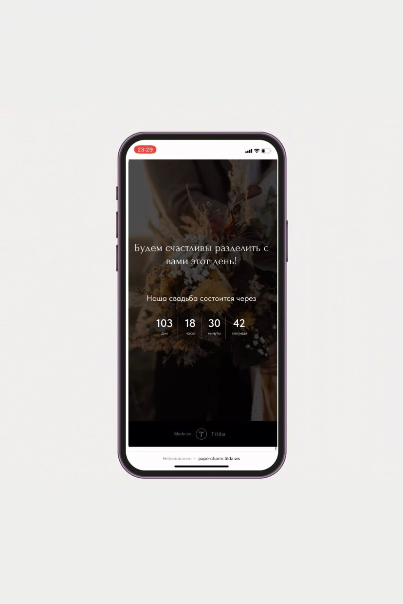 Сайт-приглашение, 4500 руб. Дизайнер полиграфии в Санкт-Петербурге. Заказать свадебные приглашения, подарочные сертификаты, полиграфию для бизнеса, шелковые ленты