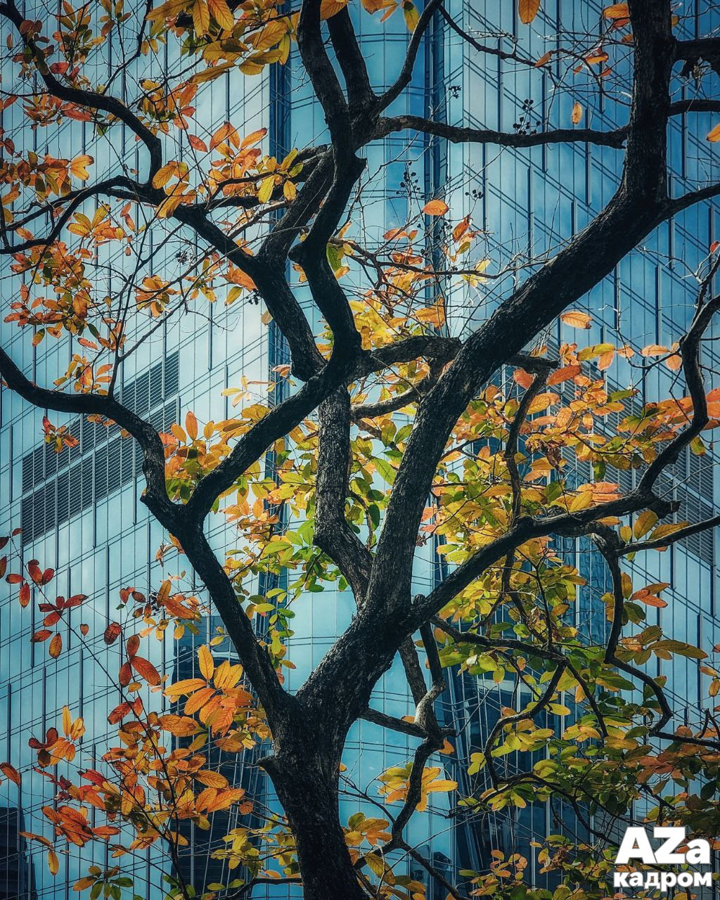 Дыхание весны. Фотоклуб AZакадром. Женский семейный фотограф Тула Москва Захарова Анна