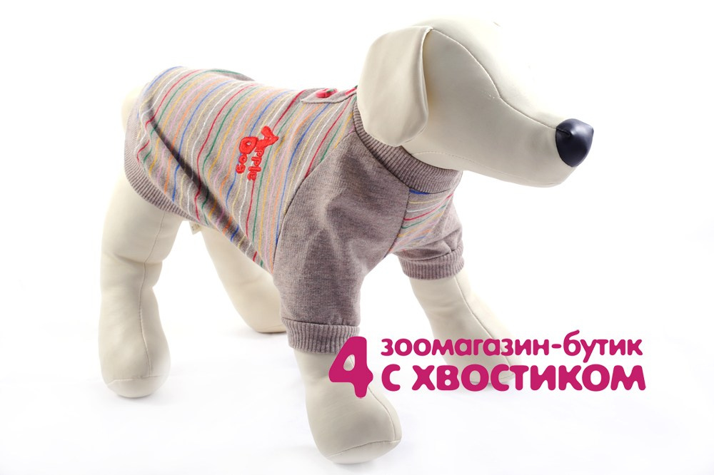 Фотосъемка одежды для питомцев в Нижнем Новгороде 022