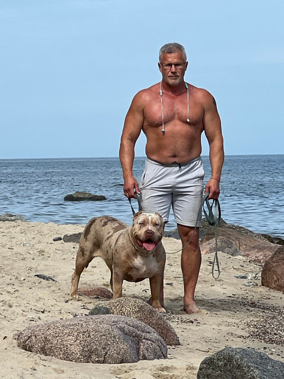 BBK’s Amber. Американские булли XL в г. Калининград. Питомник Great Bully UNIVERSE