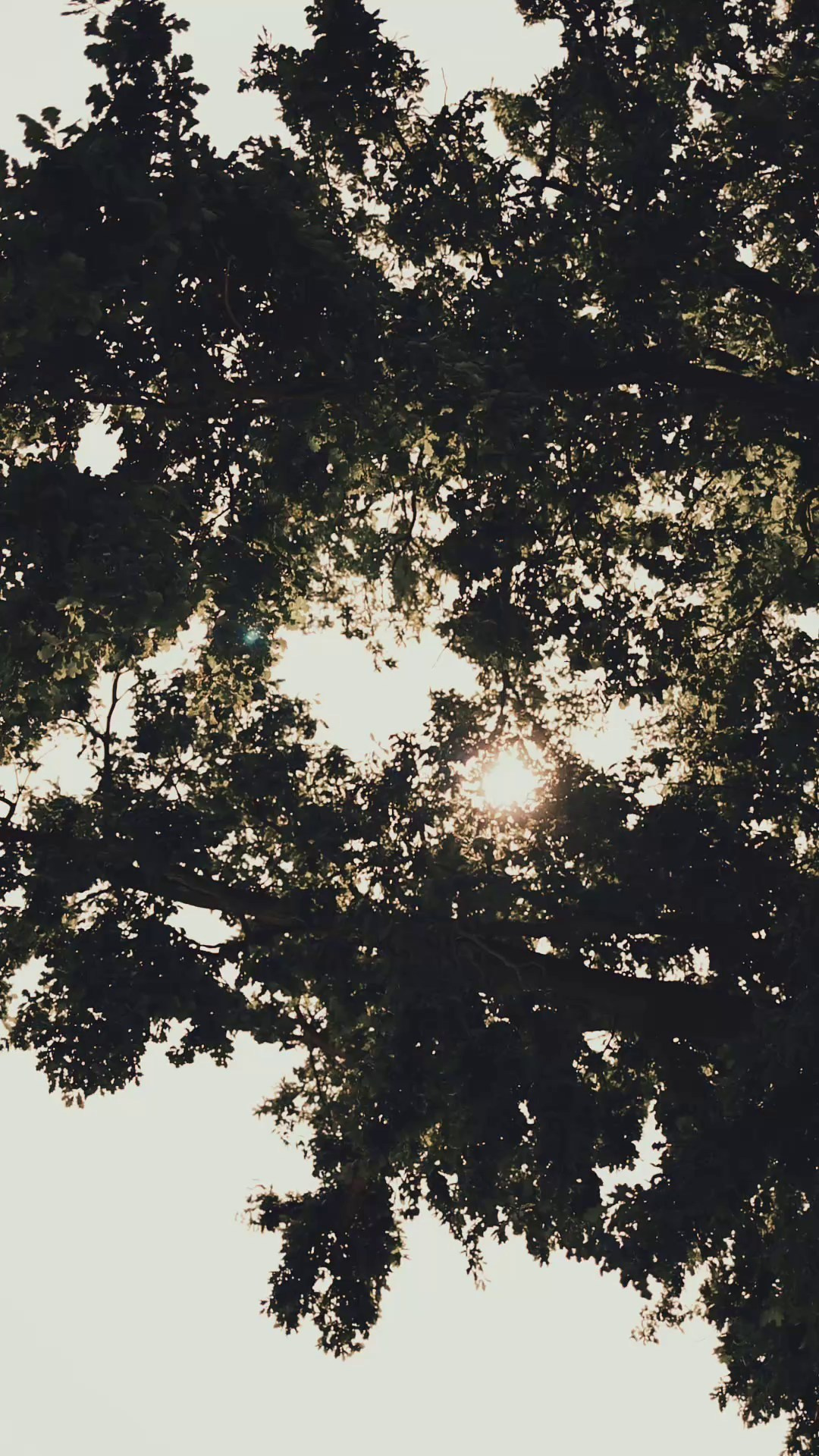 Крещение. Семейный, детский, женский, свадебный фотограф в Ростове-на-Дону Васильчикова Юлия