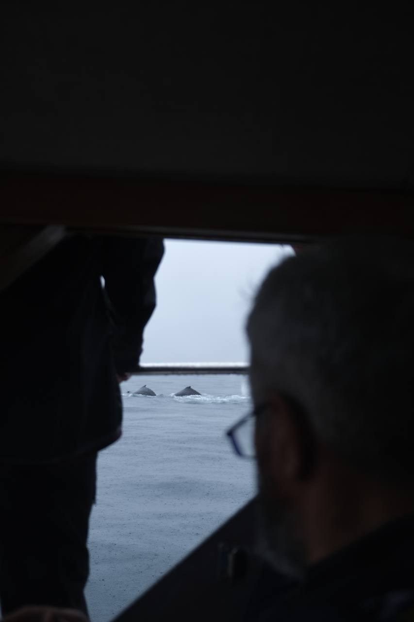 Nataresso | фотограф Москва