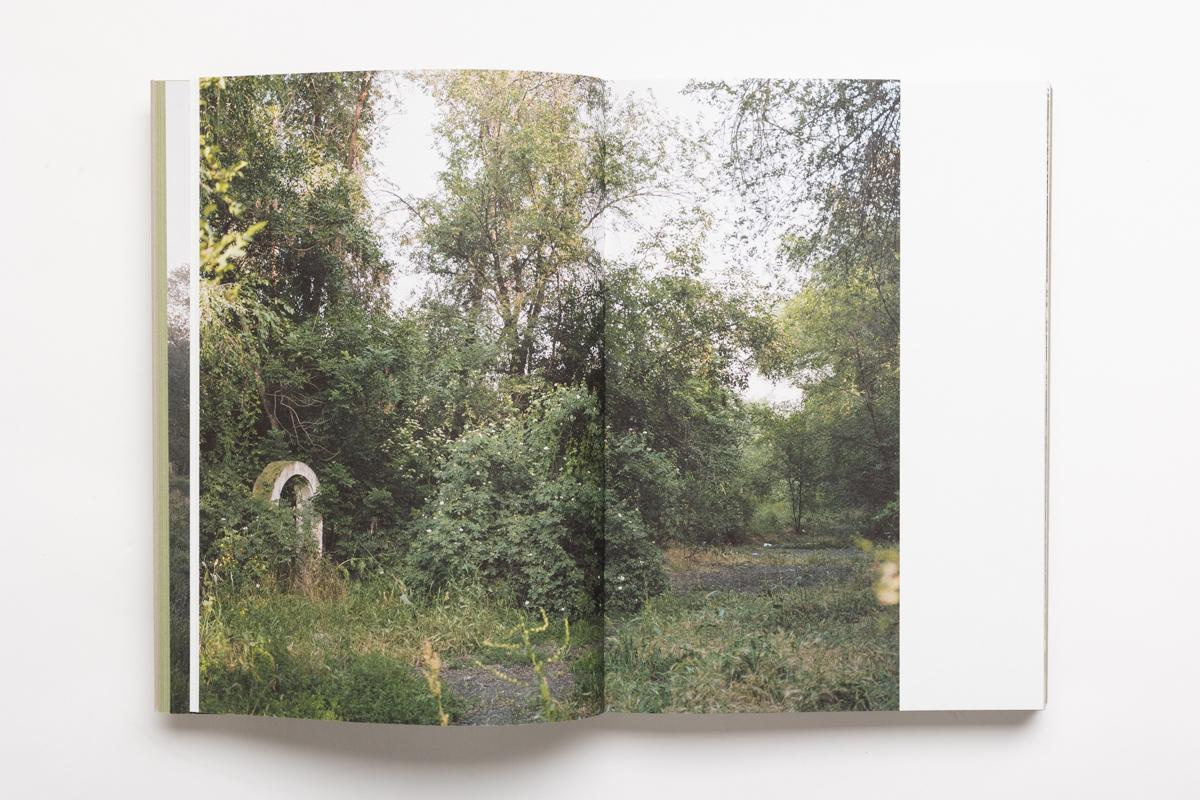 Book ARCADIA. Gardens in common. Anastasia Tsayder