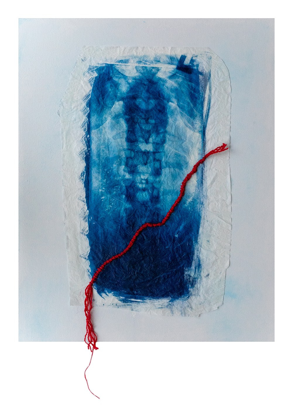 CYANOTYPE. CONTEMPORARY ARTIST OLGA ANDRIYASH