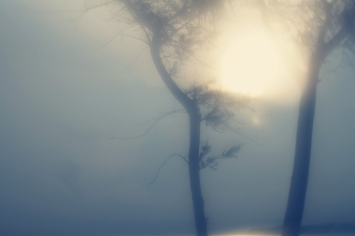 ФОТОГРАФИЯ. CONTEMPORARY ARTIST OLGA ANDRIYASH