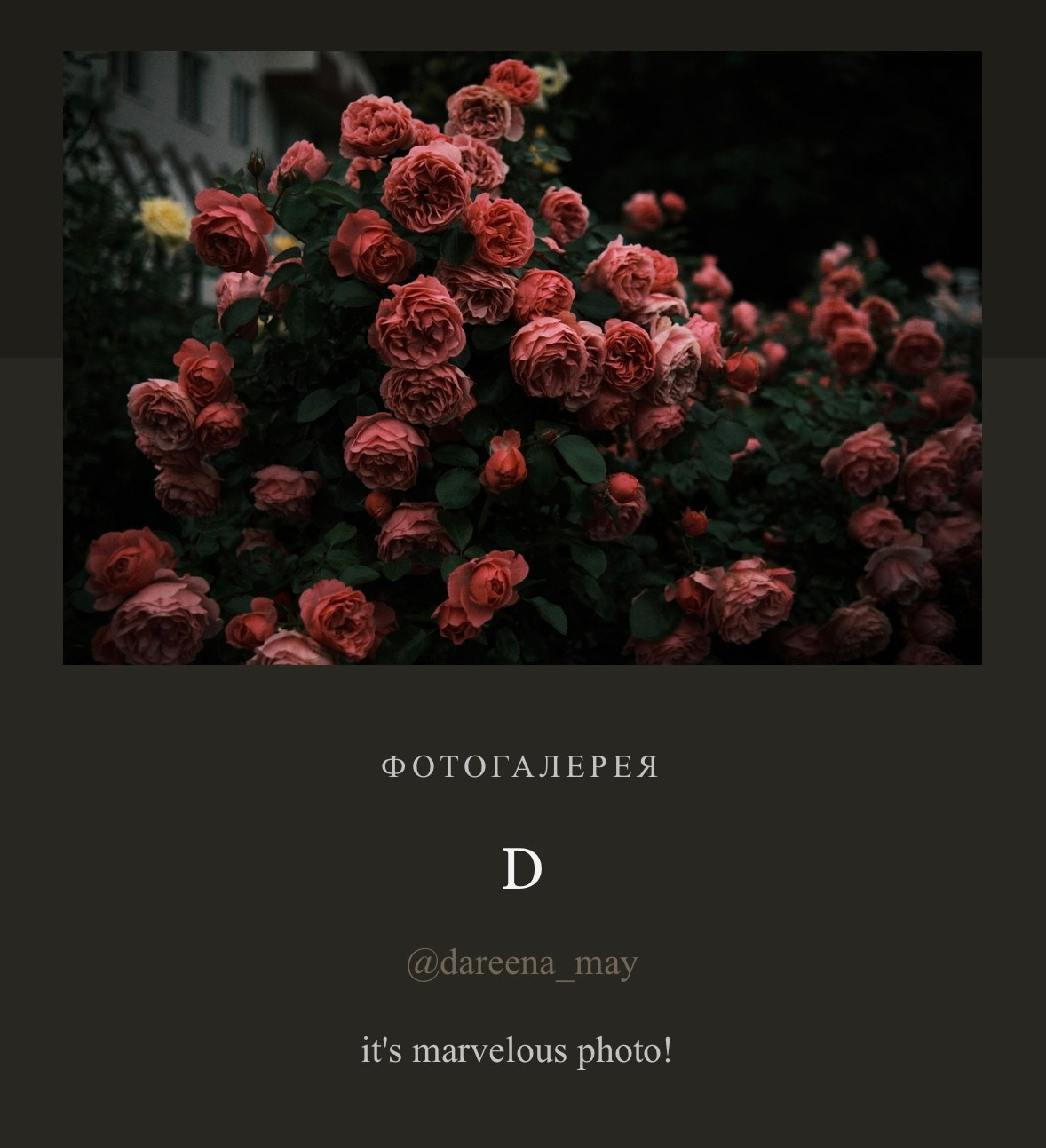 Евгений Ким