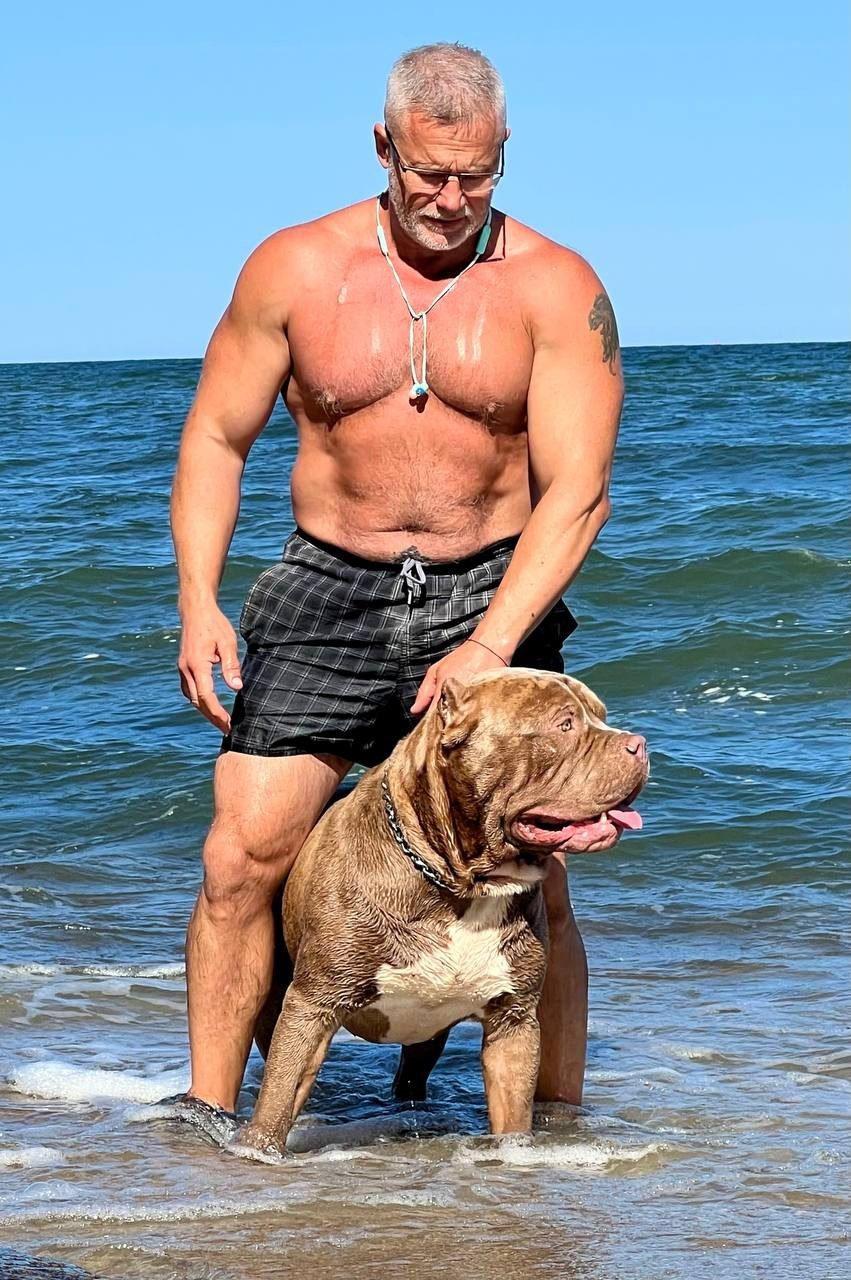 Хантер. Американские булли XL в г. Калининград. Питомник Great Bully UNIVERSE