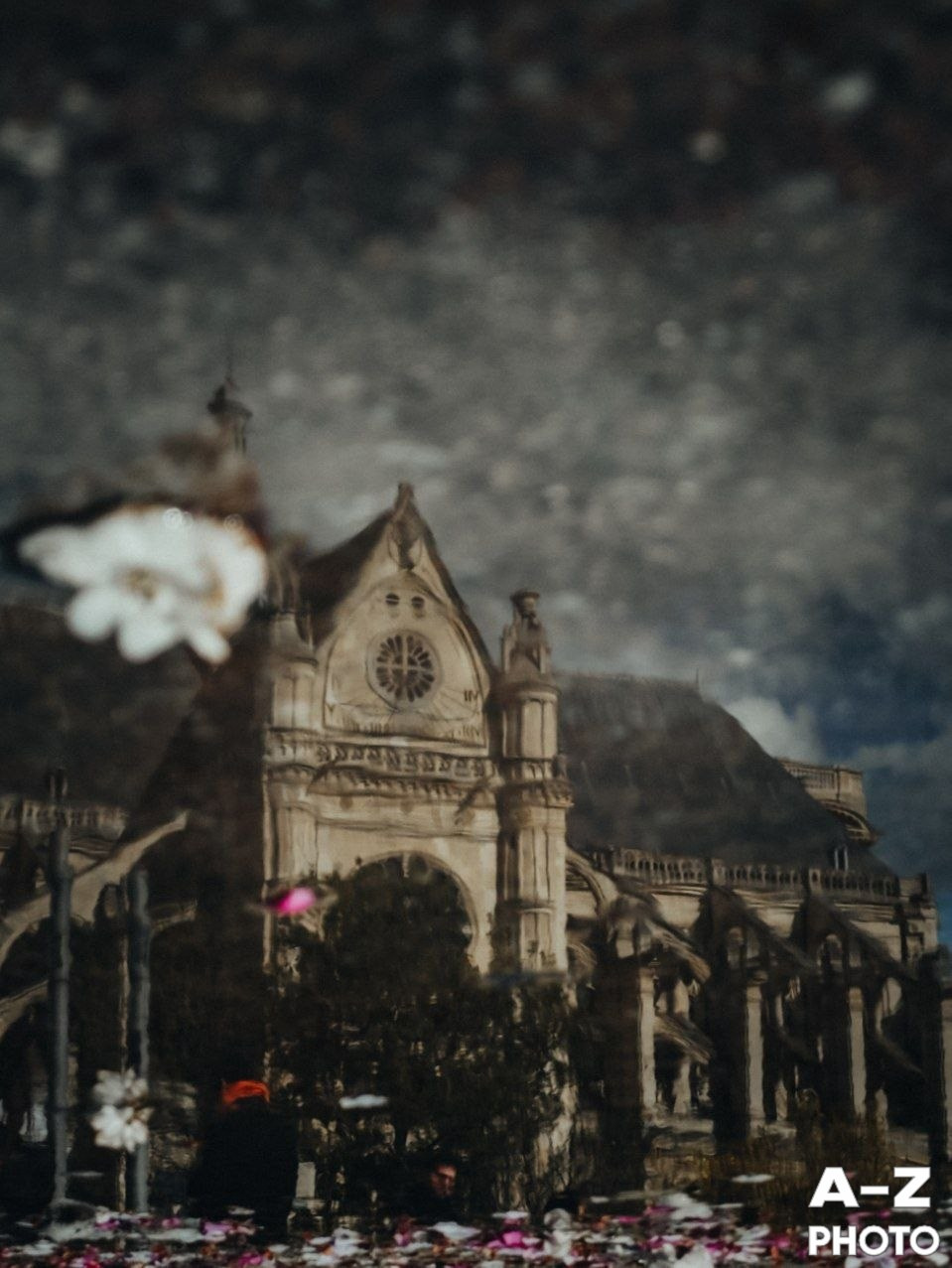 #ФОТОНЕДЕЛИ 30.03.2026. Женский семейный фотограф Тула Москва Захарова Анна