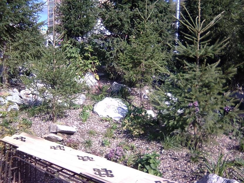 ВНИМАНИЕ! ФЕСТИВАЛЬ ЛАНДШАФТНОГО СТРОИТЕЛЬСТВА. 俄罗斯设计估算