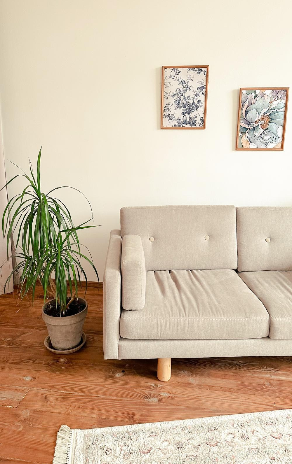 Студии Краснодара. Фотограф Наталия Бегдан