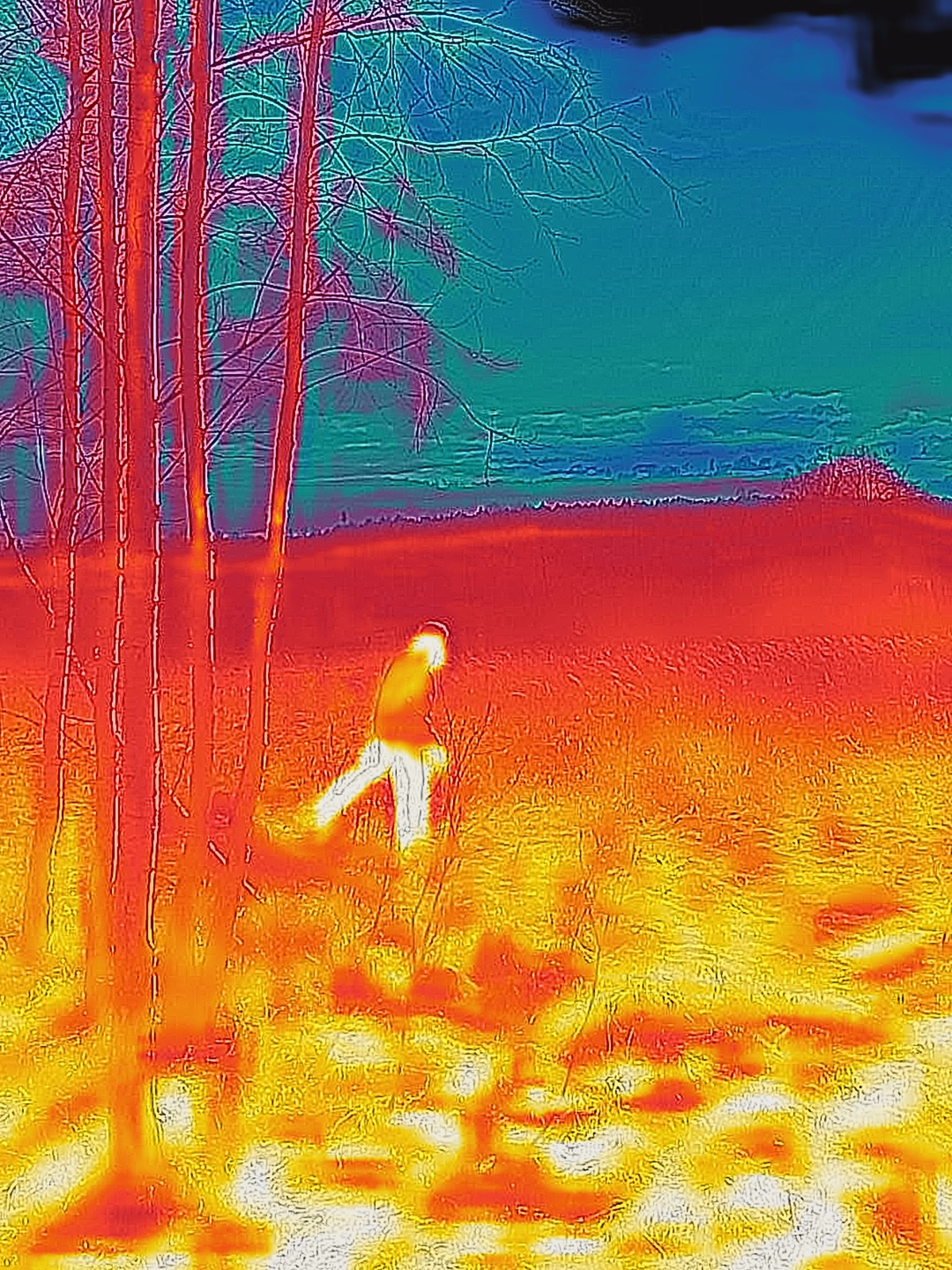 Red Heat. Igor Tereshkov