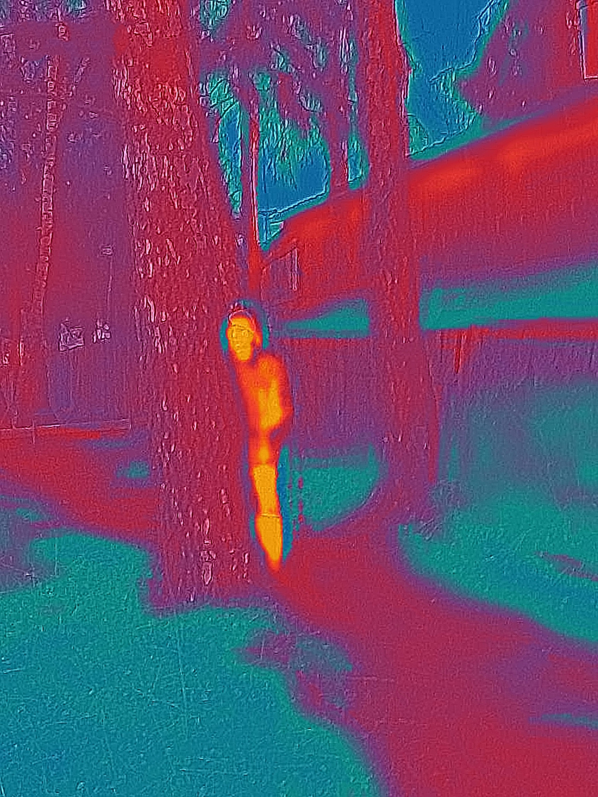 Red Heat. Igor Tereshkov