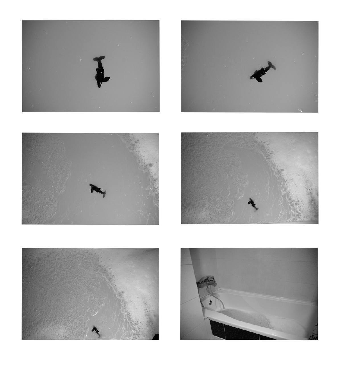 Марафон креативной фотографии. Vladimir Borele Photographer