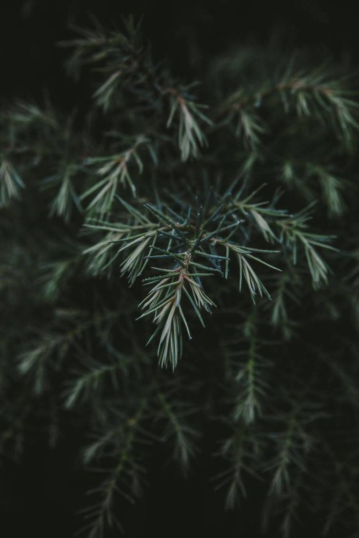 Парфюмерный. Студия декора LES décors