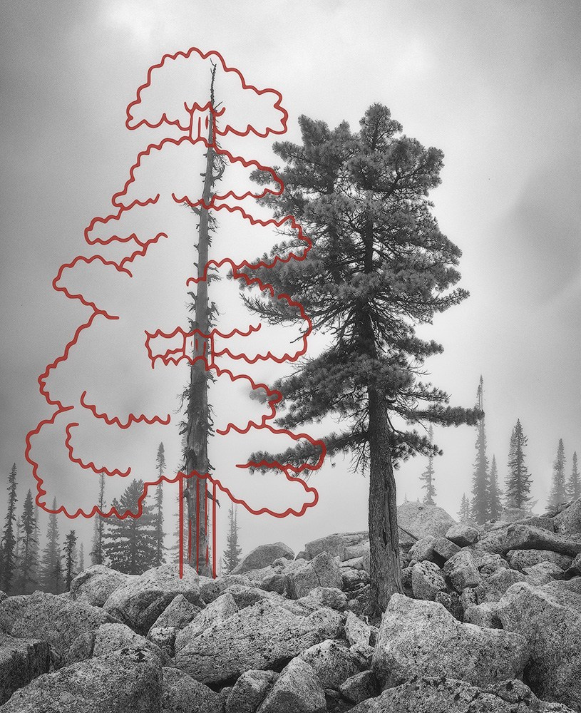 Projects. Landscape Photography by Aleksandr Leshchenok