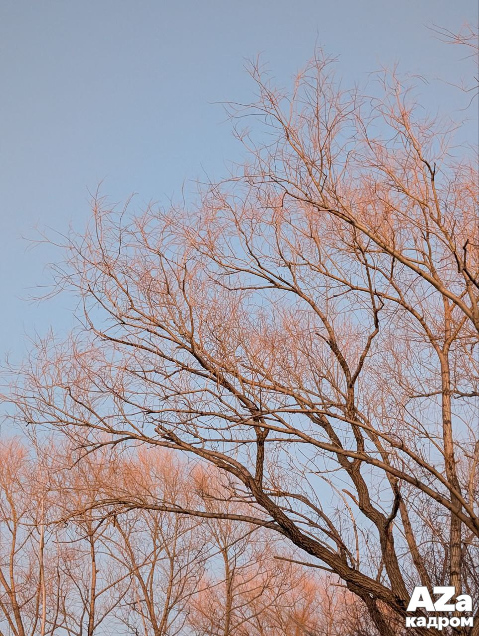 Дыхание весны. Фотоклуб AZакадром. Женский семейный фотограф Тула Москва Захарова Анна
