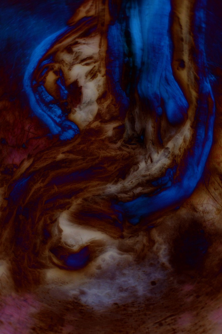 ФОТОГРАФИЯ. CONTEMPORARY ARTIST OLGA ANDRIYASH