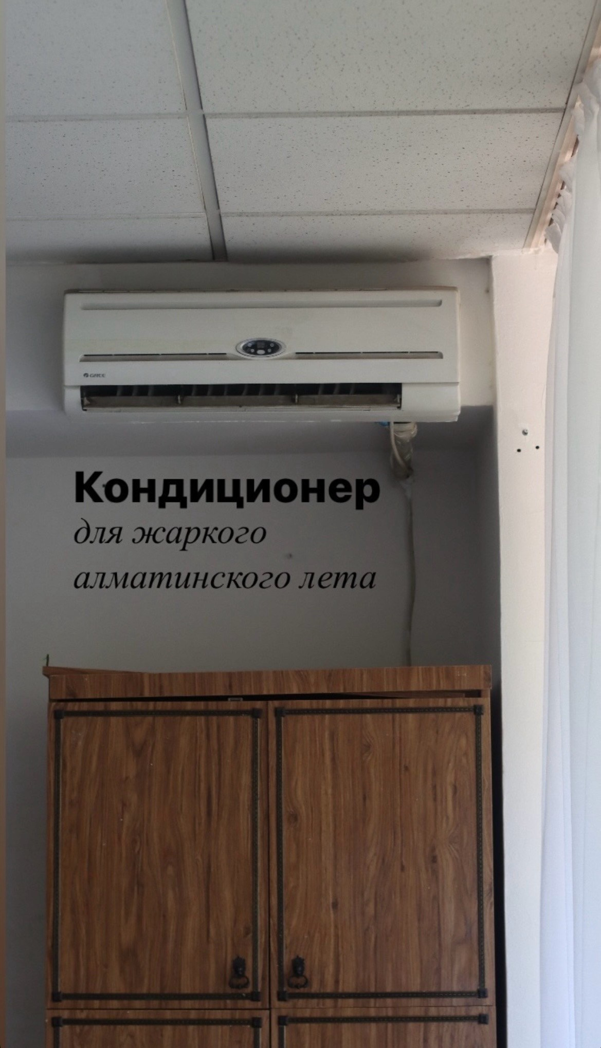 Открытие мастерской. Художница в Алматы Мухамед-Рахимова Джамиля