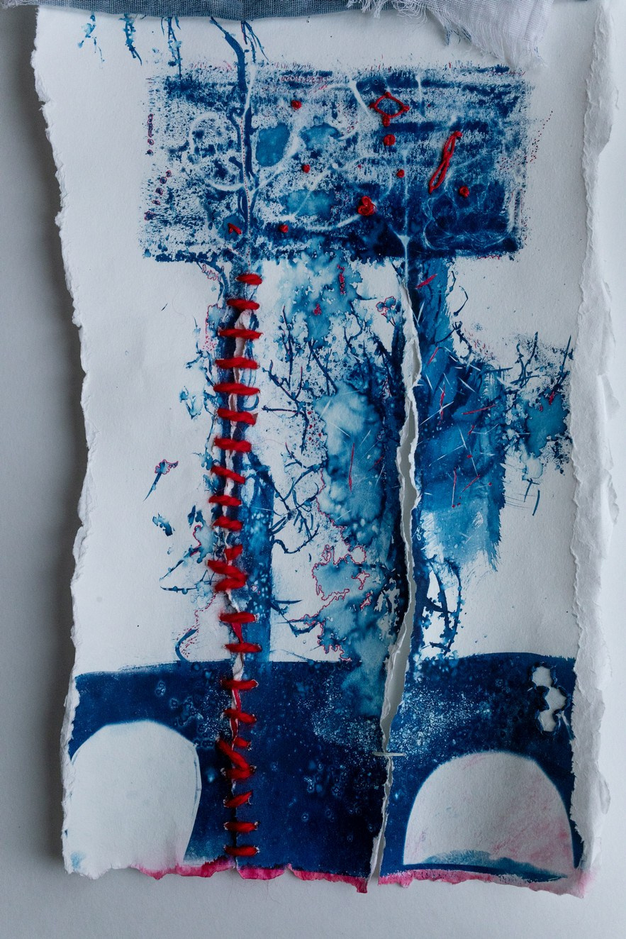 CYANOTYPE. CONTEMPORARY ARTIST OLGA ANDRIYASH