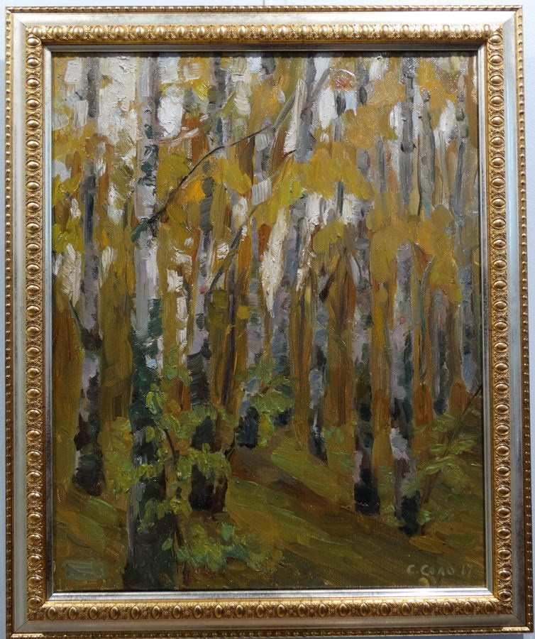 Светлана Соло Орлова. Галерея участников Российской Премии Искусств