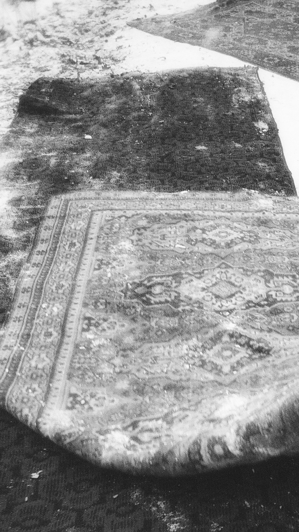 ЖЕНЩИНЫ, ВЫБИВАЮЩИЕ КОВРЫ. Художественная группа «Нежные Бабы»