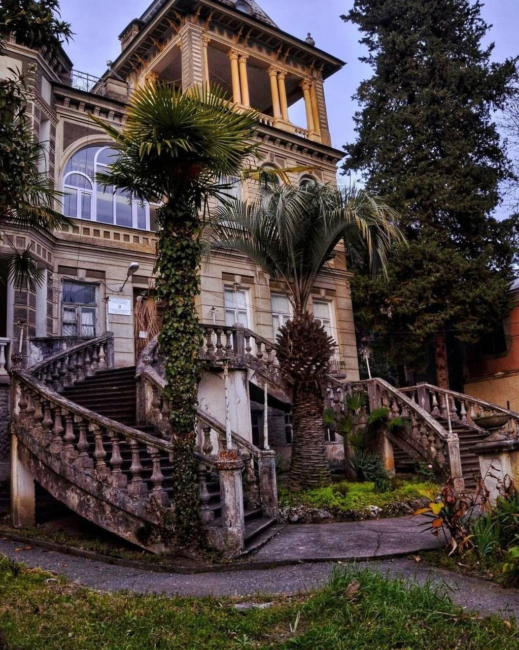 Абхазия. «Мандариновое настроение». Ольга Котова