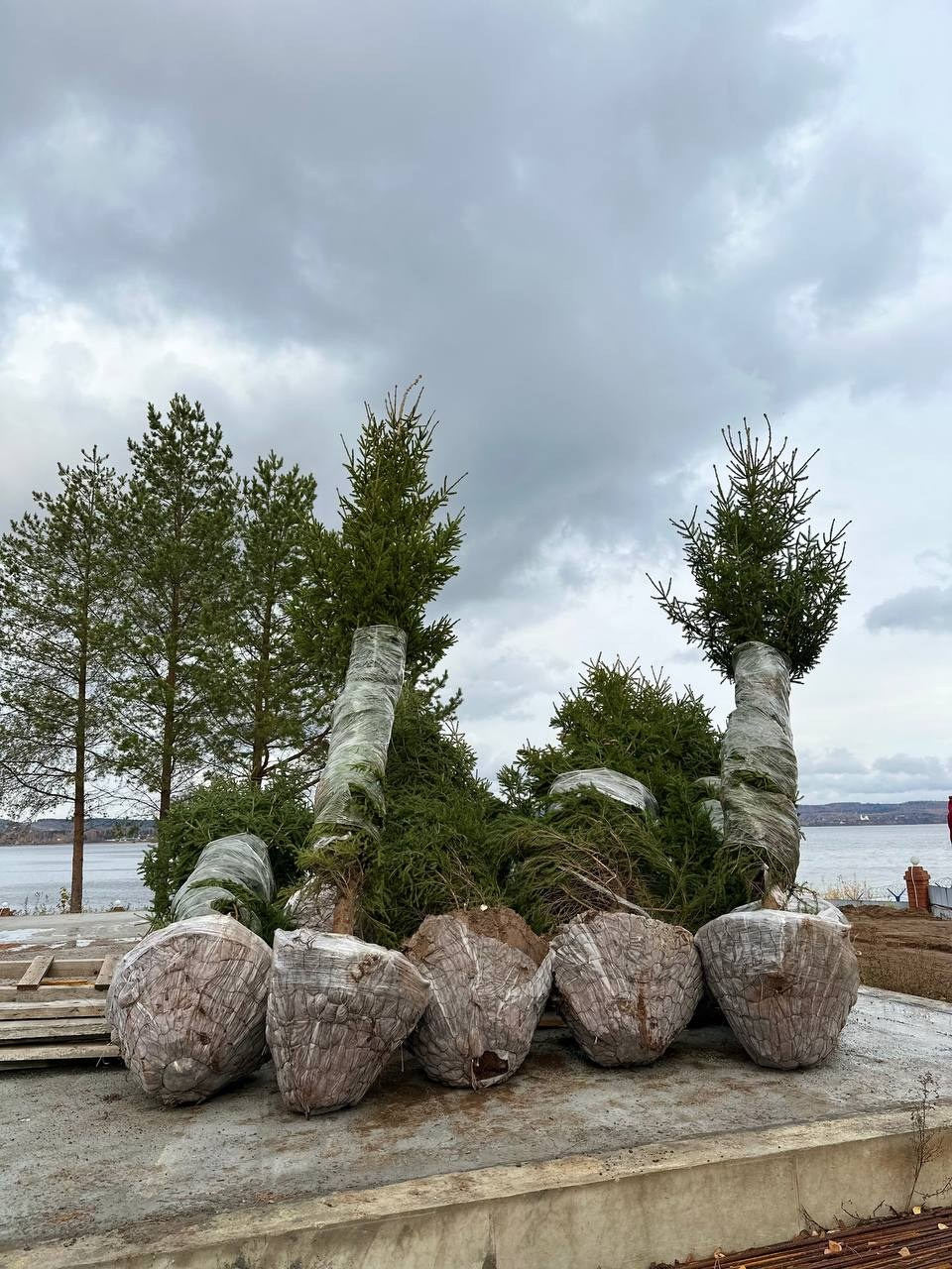 Крупномеры РФ