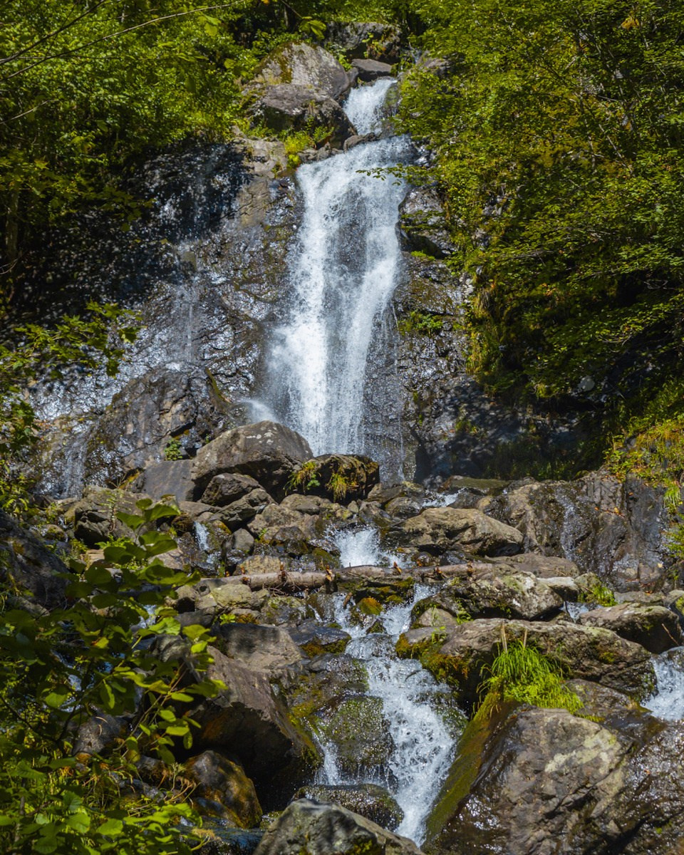 Обучающий фототур в Абхазию 20–25 февраля 2026. Детский и семейный фотограф Елена Михайлова в Москве