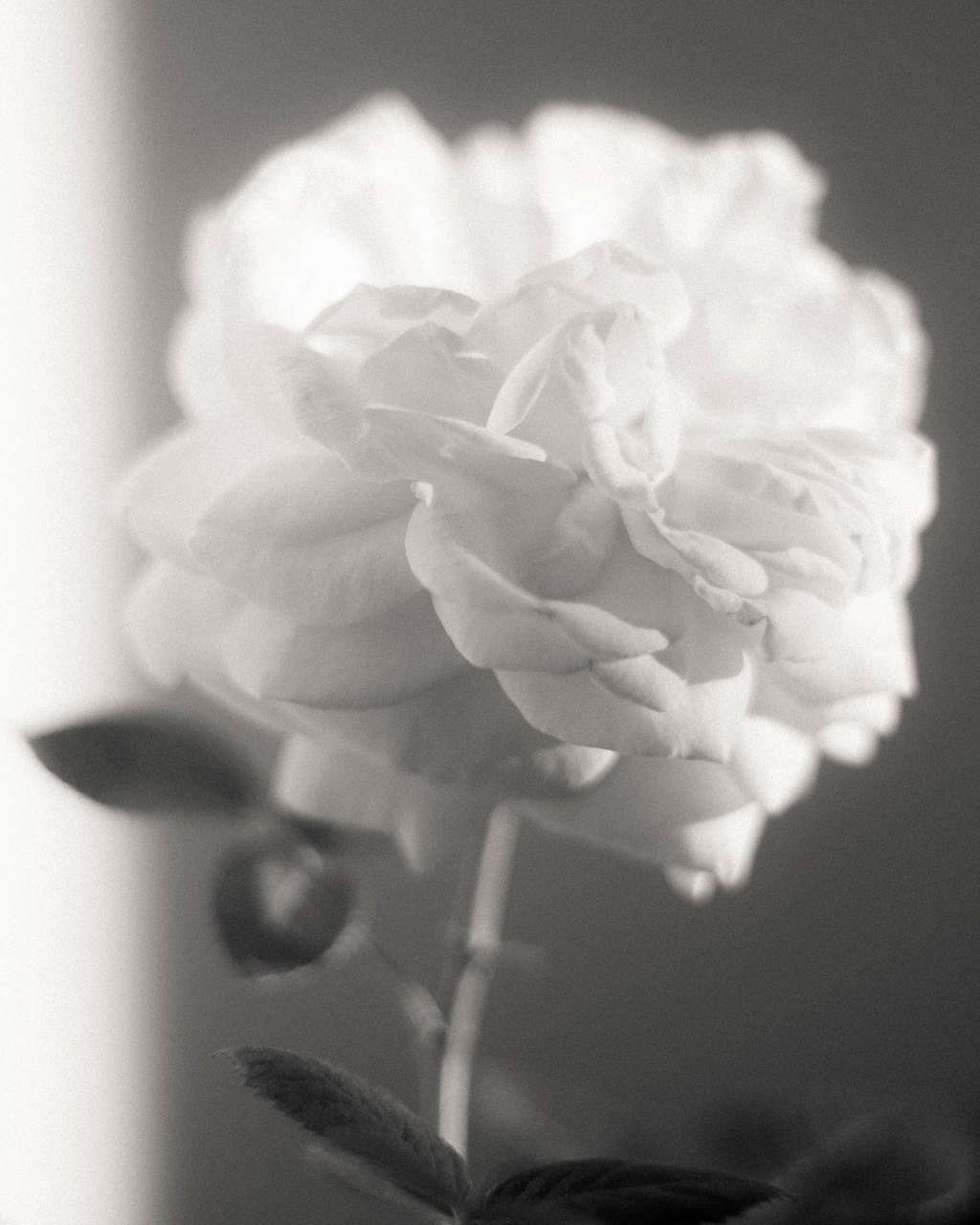 Katya Zhukova — Photographer in Bratislava