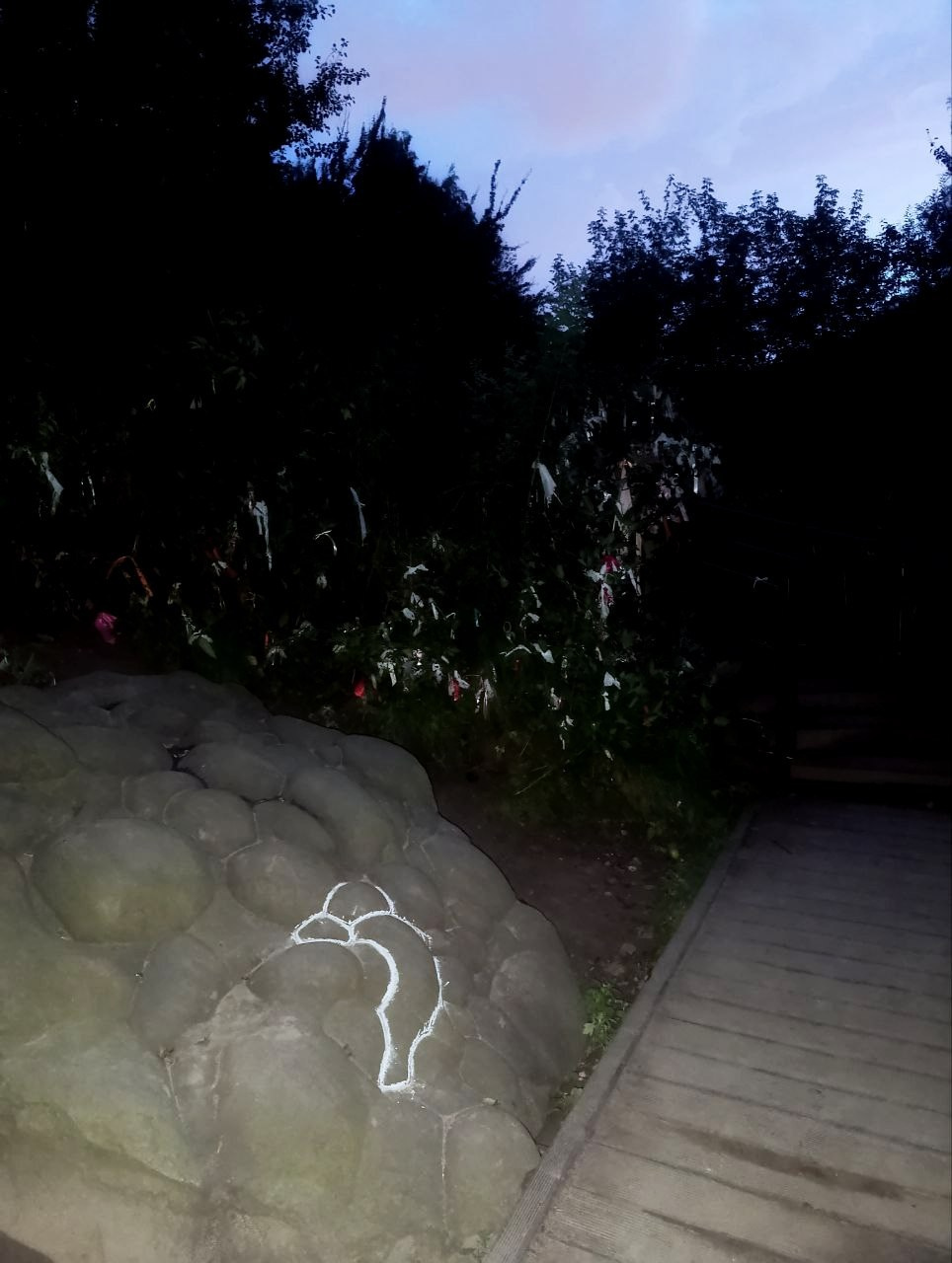 Елена Чернышова — Пираты воображения