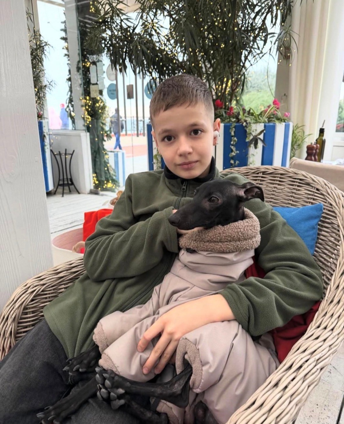 Левретка и ребенок: нежная дружба. Профессиональный питомник левреток РКФ/FCI ASTI SAPPHIRE 💎 Сочи|Санкт-Петербург