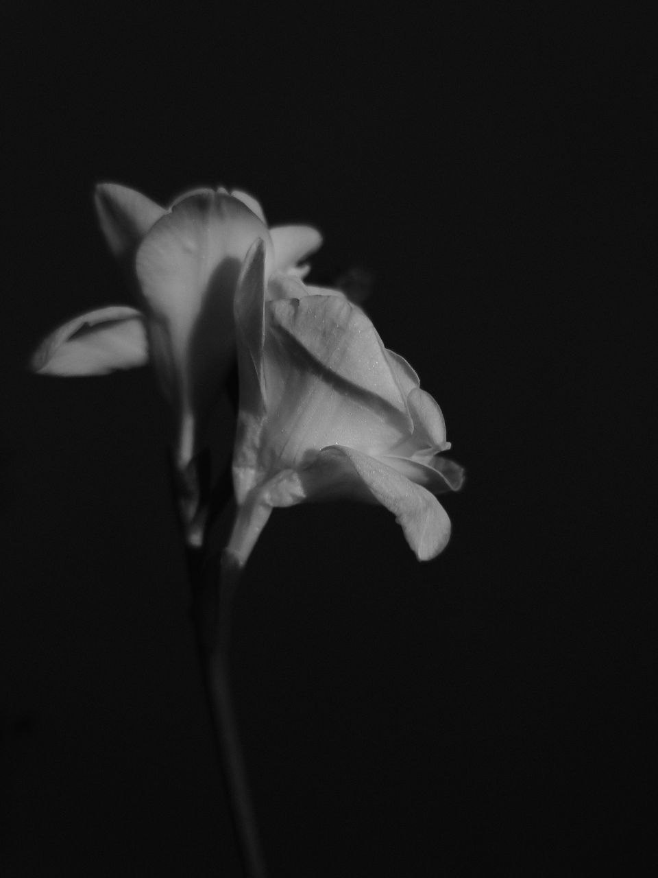 Фотограф из Санкт-Петербурга/Катерина Зайцева