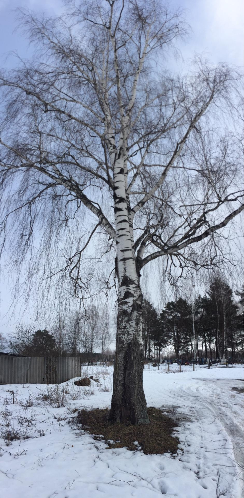 Details. Artist Maria Ansh