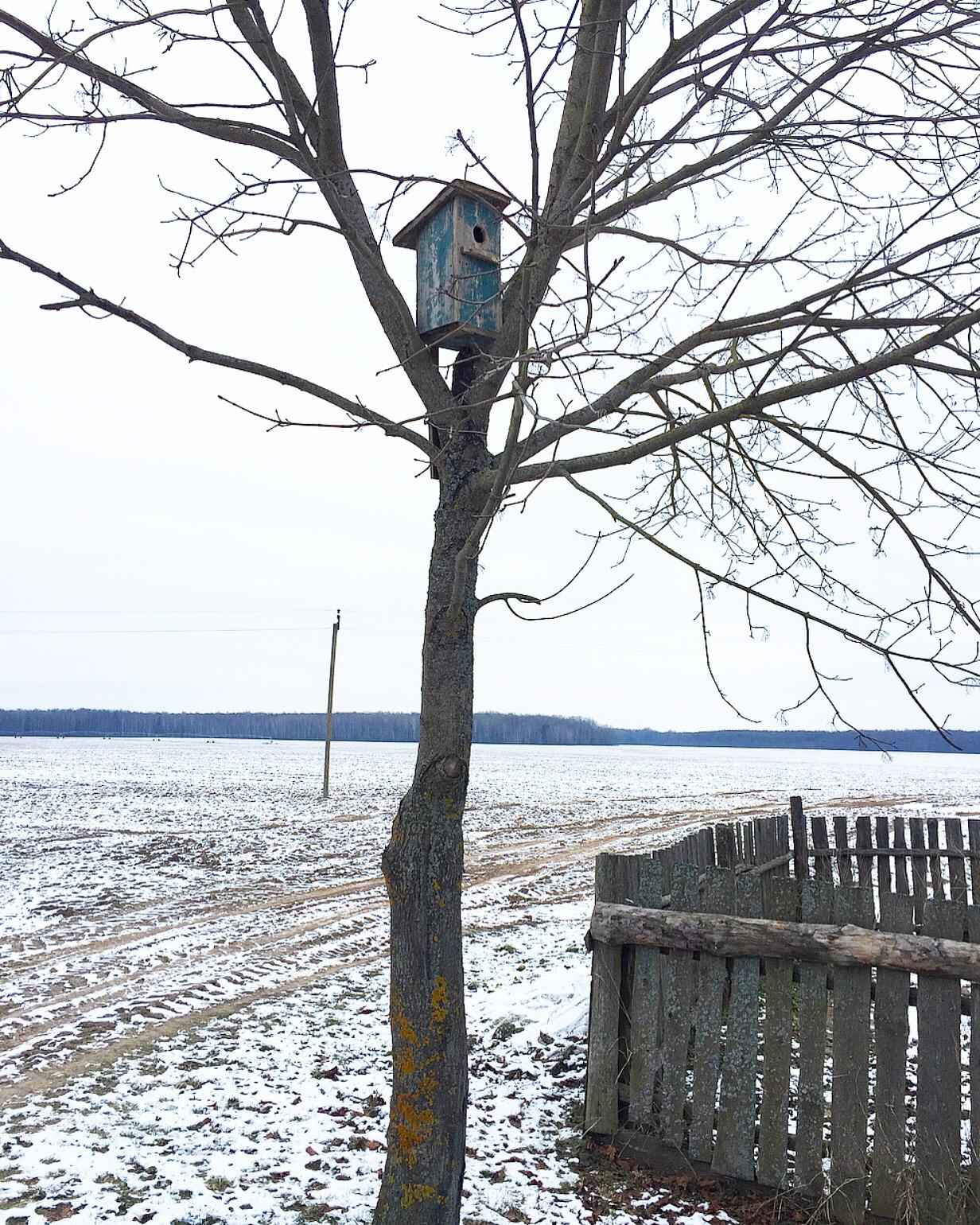 Details. Artist Maria Ansh