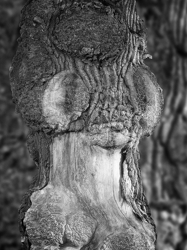 Projects. Landscape Photography by Aleksandr Leshchenok