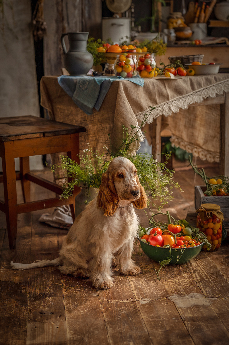 МК Карины Киль (Барнаул). Семейный и детский фотограф в Канске и Канском р-не, Красноярск и
