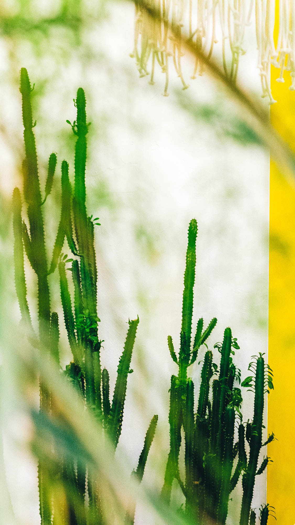 Индивидуальная фотосесесия Евгений. Контент-фотограф Юлия|Санкт-Петербург|Питер