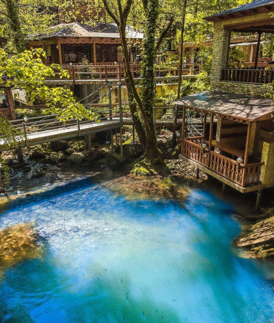 Абхазия. «Мандариновое настроение». Ольга Котова