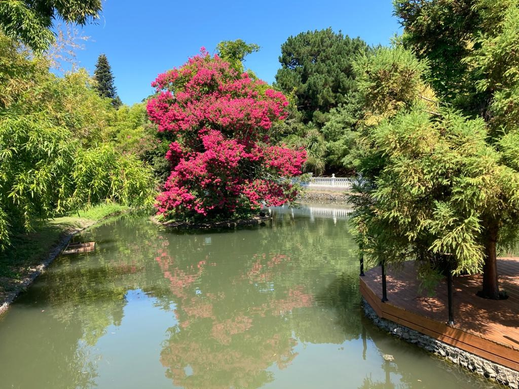 АДЛЕР. Свадебный и семейный фотограф/видеограф в Краснодаре Наталья Осинская