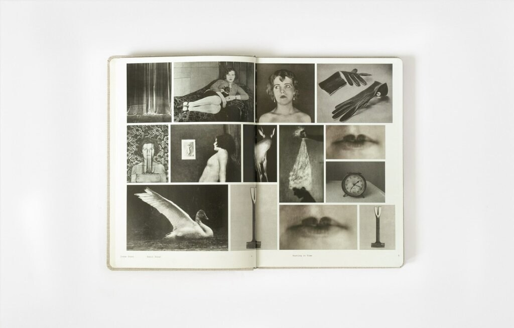 Книга Ронит Порат «Hunting in Time». Private image