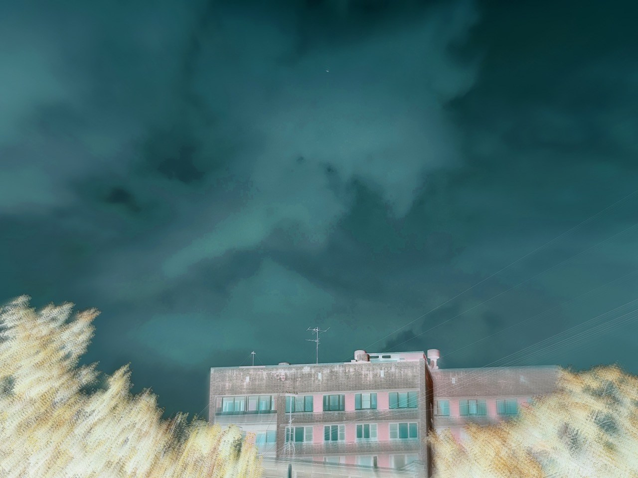 CITYSCAPE. VISUAL ARTIST