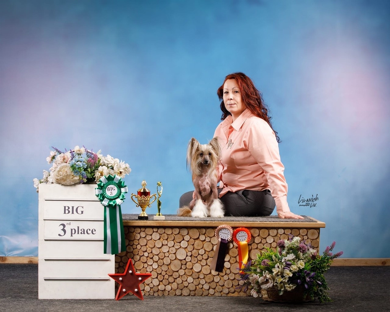 Poale Ell Chester. Питомник китайских хохлатых собак Poale Ell: купить щенка