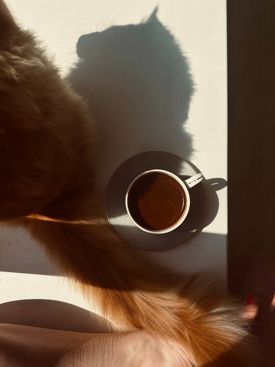 МАРАФОН ФОКУС НА ПРЕКРАСНОМ. Фотограф Анастасия Дмитриева