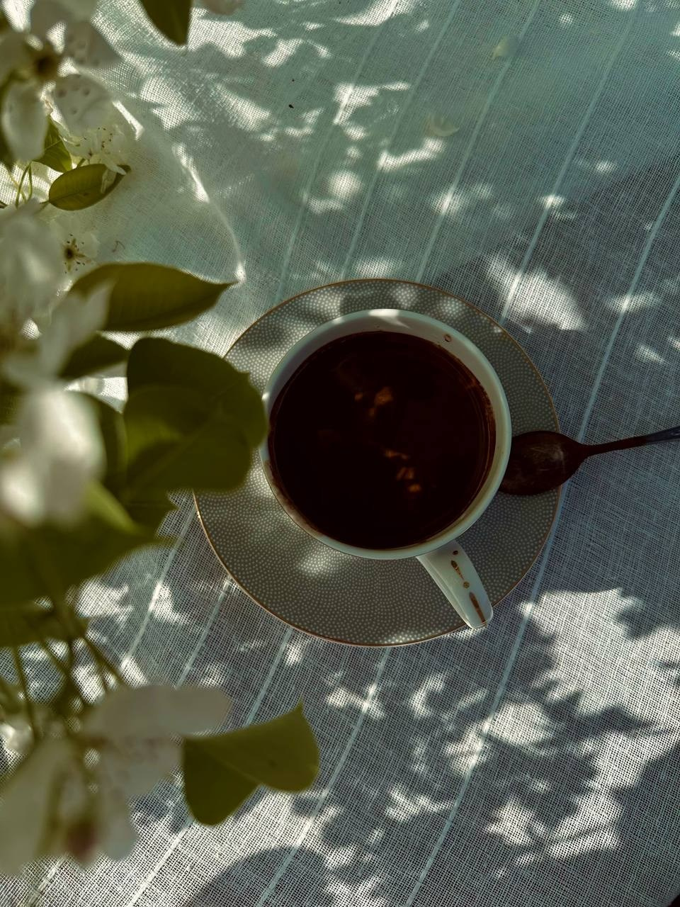 МАРАФОН ФОКУС НА ПРЕКРАСНОМ. Фотограф Анастасия Дмитриева