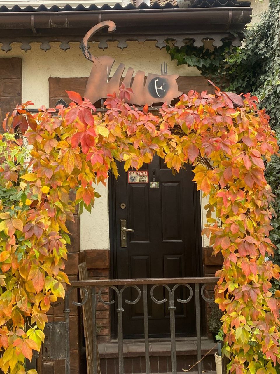 уютный Зеленоградск