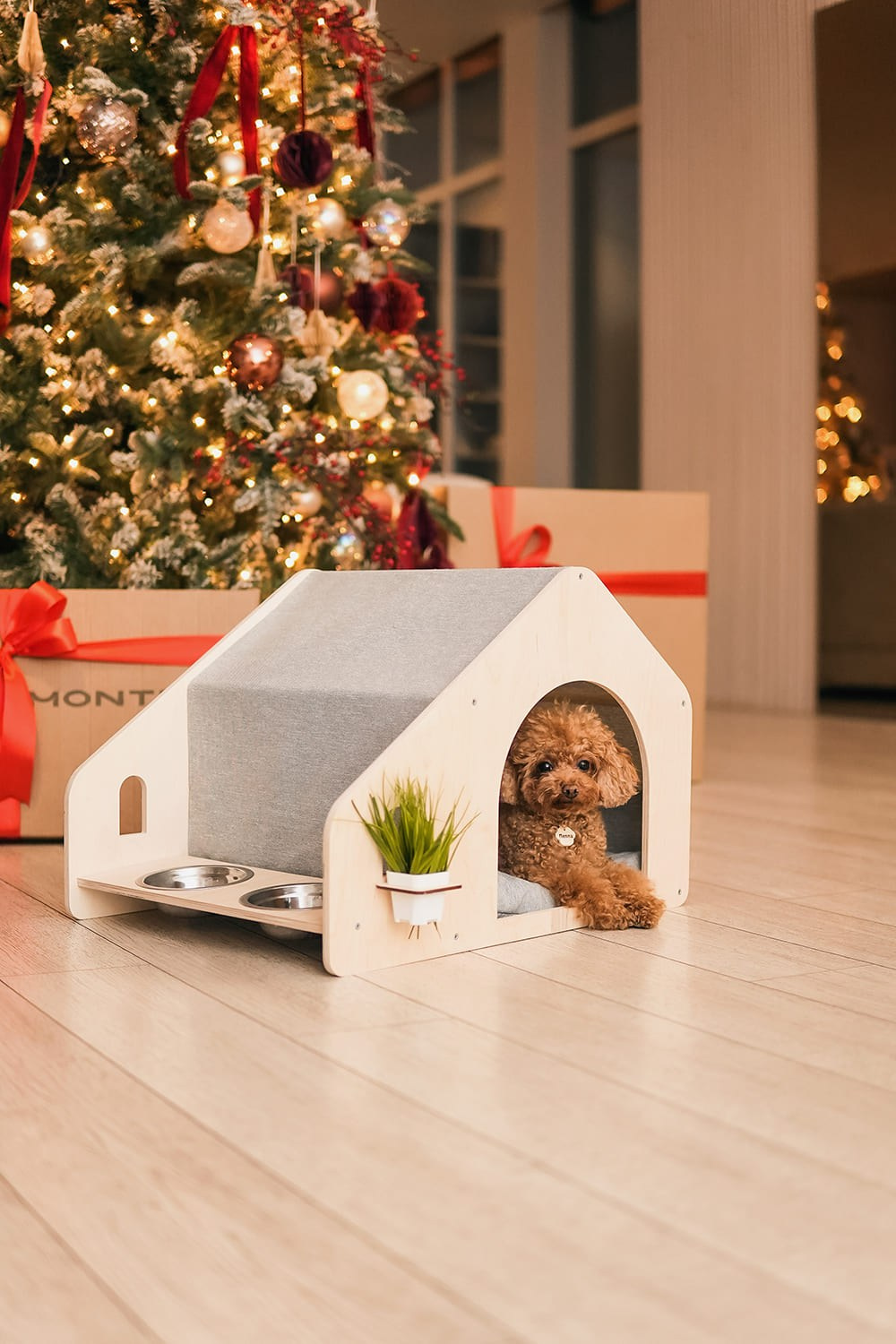 Контент-съёмка для бизнеса. Катя Кудринская. Фотограф на мероприятие СПб. Семейный фотограф