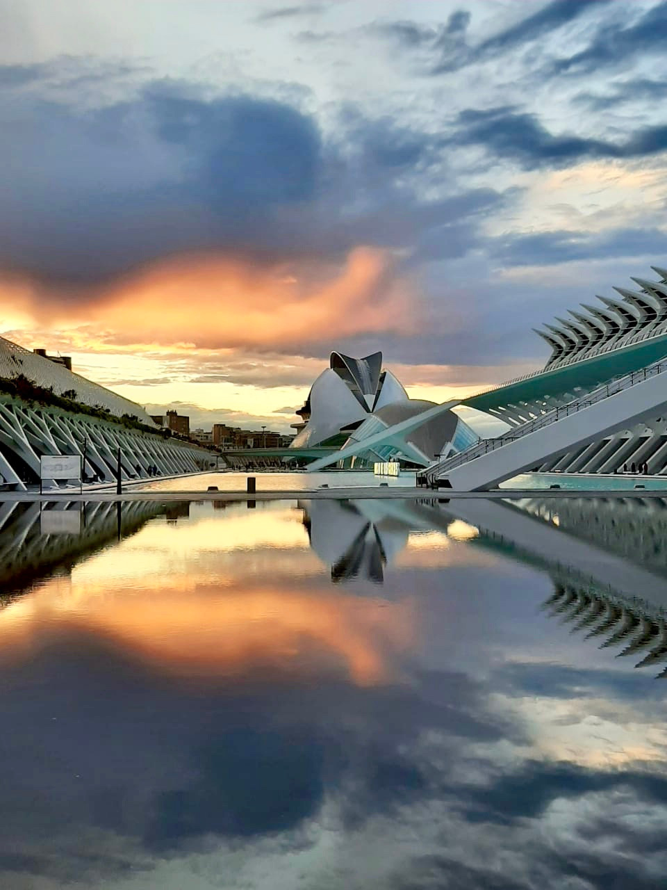 Visita guiada con fotos de la Ciudad de las Artes y las Ciencias. Novikov Mikhail, fotógrafo de Valencia
