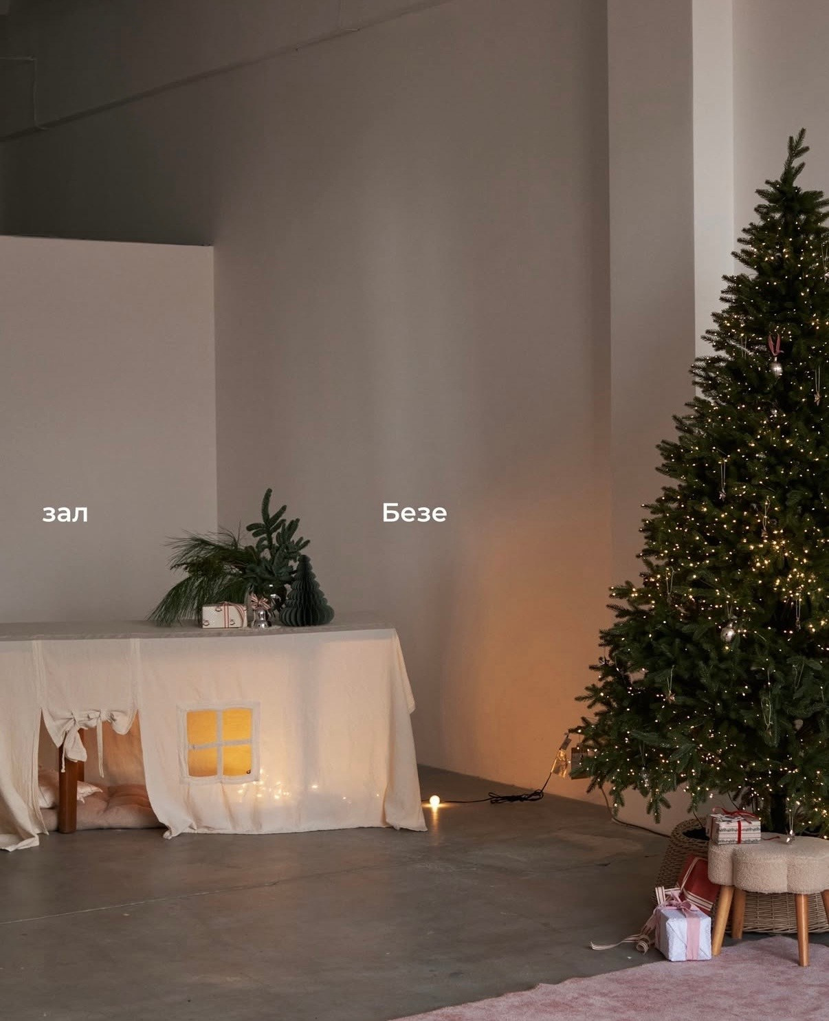 Новогодние фотостудии 2026. Семейный и детский фотограф в Бресте Дария Поляк